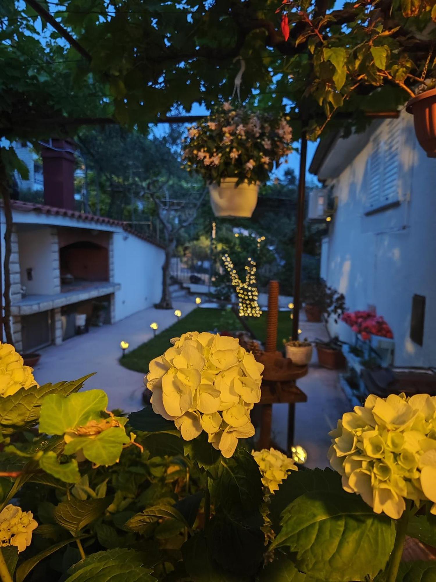 Apartmani Andela Kordic Supetarska Draga Exterior foto