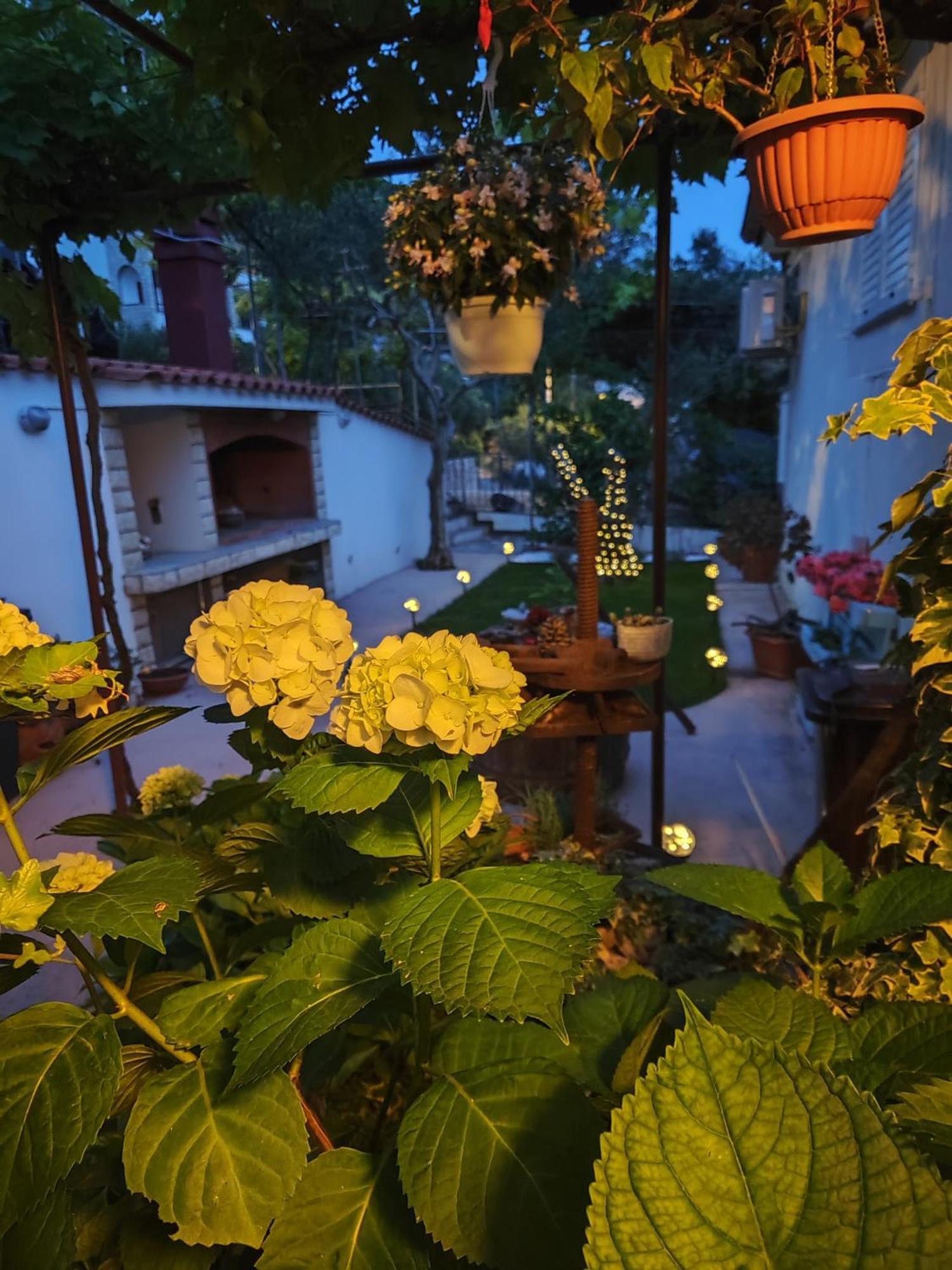 Apartmani Andela Kordic Supetarska Draga Exterior foto